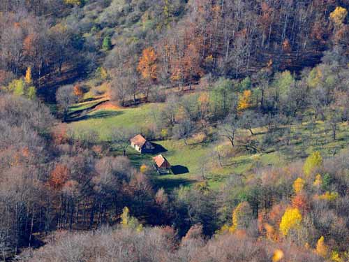 Foto De pe Piatra (c) Lucian Petru Goja